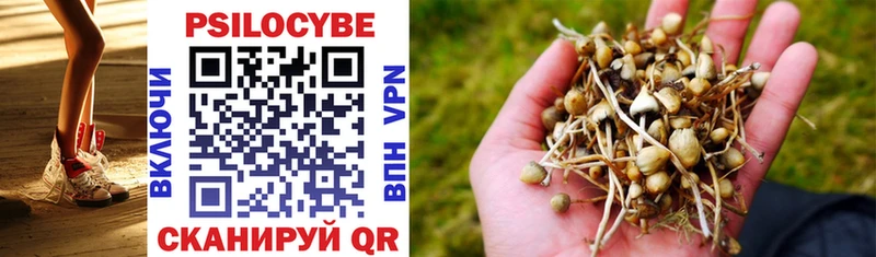 Галлюциногенные грибы Cubensis  закладки  Монино 